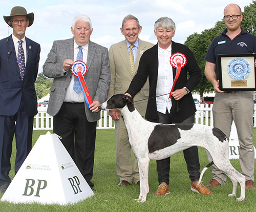 Mr B Mansell, Mrs J Duddell & Mr L Johnston Fernlark Schussboomer with BPIS judge Mr M Armstrong, Mr D Coods ( Chairman) & Mr K Cadmore (Dorwest)