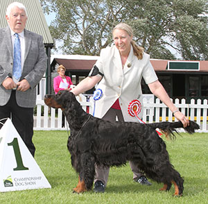 Dr M & L Ivaldi Sh Ch Int Ch It Ludstar Frederick Frankenstein with group judge Mr M Armstrong