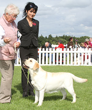 Mrs D Hopkinson Hayley Sun In Their Eyes