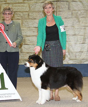 Miss M Spavin Ch & Croat Jun Ch Hearthside Man Of Mystery At Dia with group judge Mrs F Kaye