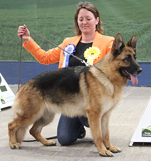 Mr & Mrs D Hensley & Ms A Swift Ch Zuberg Greta Sh.CM