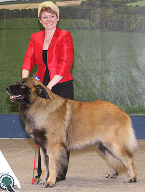 Miss L Bermingham, Mrs S Kendrik & M Almeida Port Ch Odi Da Casa De Loas Em Bamcwt Ew'16 (Imp)