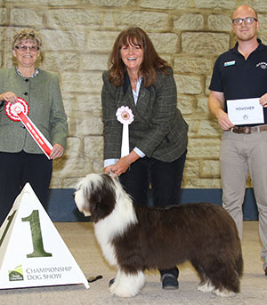 Mrs D Weightman Debbeacol Rhythm Is A Dancer with puppy group judge Mrs F Kaye & Mr K Cadmore (Dorwest Herbs) 
