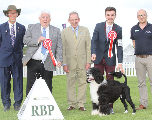 Mrs R Reddin & Mr B Williams Mr B Rarjo Quicksilver with BPIS judge Mr M Armstrong, Mr D Coode (Chairman) & Mr K Cadmore (Dorwest Herbs)