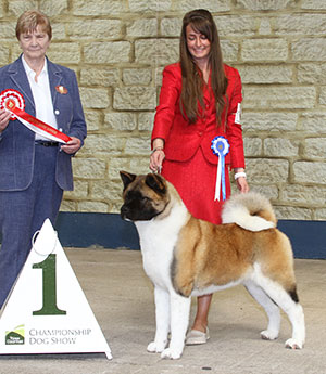 Ms C Bevis & Ms F & Mrs R Corr Ch Stecal's Love At First Sight JW with group judge Mrs E M Peach 