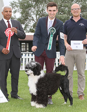 Mrs R Reddin & Mr B Williams Mr B Rarjo Quicksilver with puppy group judge Mr T Nagrecha & Mr K Cadmore (Dorwest Herbs)