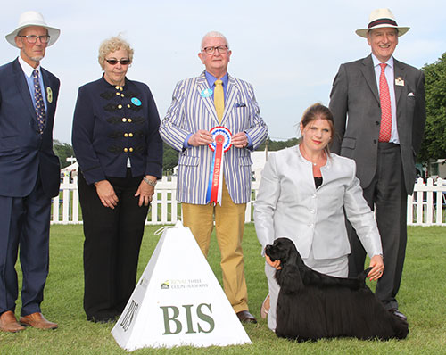 Mrs B Morris, Miss L J Bryant & Mrs L Nelson Am Ch Sh Ch Ir Ch Silhouette Troubling Nasailleen with BIS judge Mr A H Brace & Mr D Coode (Chairman) 