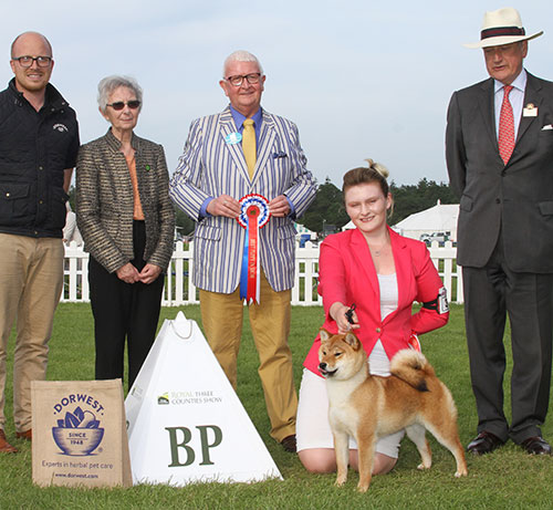 Mrs E Dunhill Vormund The Real Slim Shady with BPIS judge Mr A H Brace, Mrs J Lane (Secretary) & Lt Col P Holcroft 