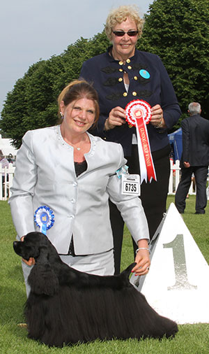 Mrs B Morris, Miss L J Bryant & Mrs L Nelson Am Ch Sh Ch Ir Ch Silhouette Troubling Nasailleen with group judge Mrs D S Smillie-Gray