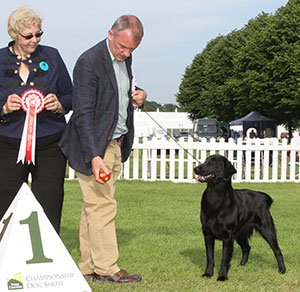Ms K Anderson Feldkirk Dior Of Kazval TAF with puppy group judge Mrs D M Smillie-Gray