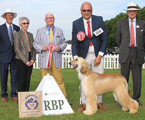 Miss N Thompson Cloudside Sunflower with BPIS judge Mr A H Brace, Mrs J Lane (Secretary) & Lt Col P Holcroft 