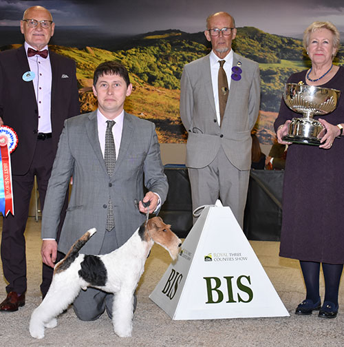 Mr V Malzoni & Mrs S Browne-Cole Ch Travella Laketrix Set To Strike with BIS judge Mr B M Croft & Mr D Coode (Chairman) 