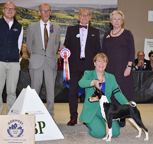 Mrs D Hardy & Mrs P Hallam Tokaji Walking In Memphis with BPIS judge Mr B M Croft, Mr D Coode (Chairman) & Mr K Cadmore (Dorwest Herbs) 