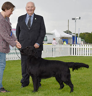 Mrs R & Mr B MacDonald Deringwood English Oak with group judge Mr M Howes