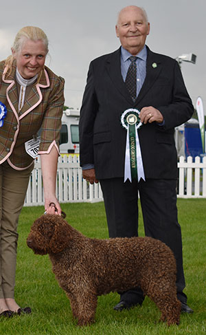 Dr K L Hodgkinson-Rutherford & Mr M J Rutherord Swiss Ch Chanderhill Hecho En Espana Jww18 with group judge Mr M Howes