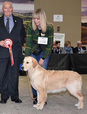 Mrs M C Loverock & Mrs L Waldron-Smith Thornywait Space Cowboy At Lovissa with puppy group judge Mr M Howes