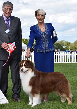 Mrs K Kirtley & Mrs D Erdesz AKC ASCA Wyndstar Magic Marker with group judge Mr J Carter