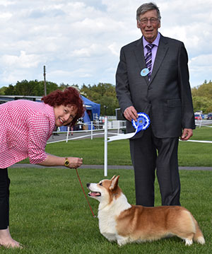 Miss A J Rees Stadwen Lancelot with group judge Mr J Carter