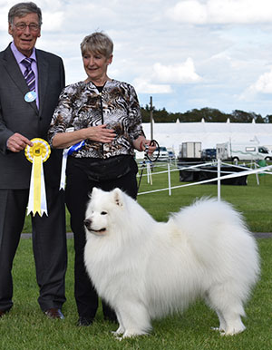 Mrs V Freer & Mrs S Smith Ch Nikara Diamond Dancer JW with group judge Mr J Carter 