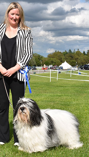 Miss L Mottram Ch Mybeards Hero