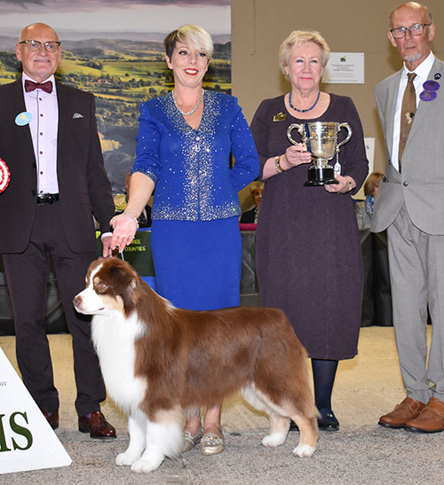 Mrs K Kirtley & Mrs D Erdesz AKC ASCA Wyndstar Magic Marker with BIS judge Mr B M Croft & Mr D Coode (Chairman) 