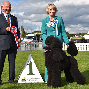 Mrs A M E G Thorndyke Vicmars Ring Me At Taranmur with group judge Mr G Corish