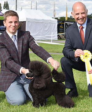 Mr T Isherwood & Mr J Lynn Divining Rod's Happy Ever Afterglow with group judge Mr G Corish