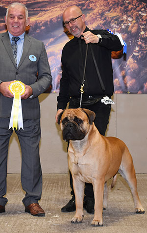 Ms F Pavesi Multi Ch Angel's Phoenix Heart Attack with group judge Mr R C Kinsey