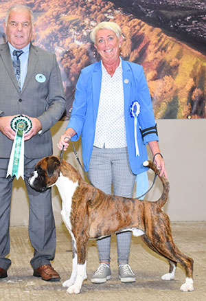 Mrs Y C & Mr W G Miller Ch Walkon Big Star JW with group judge Mr R C Kinsey