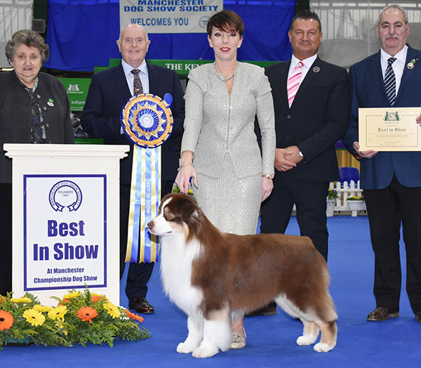 Kirtley, Eredesz, Shaw, & Raymond AKC ASCA UK Ch Wyndstar Magic Marker (Imp USA) with BIS judge Mr D Guy, Mr P Harding (Secretary) & Mr S Atkinson 