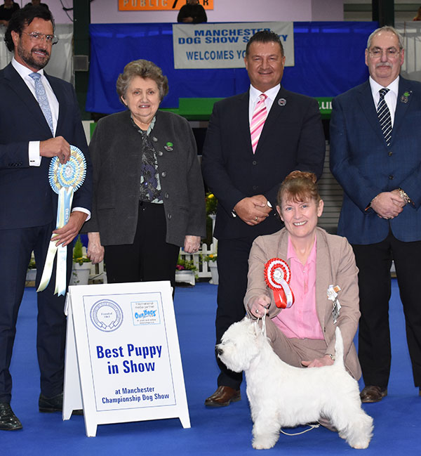 Miss M Burns & Mrs A Burns Burneze I'm Still Standing with BPIS judge Mr M Cocozza, Mr P Harding (Secretary), Mr S Atkinson (Chairman) & Mrs V Foss