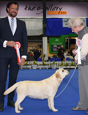 Mrs D Hopkinson Rocheby String Of Pearls with puppy group judge Mr M Cocozza