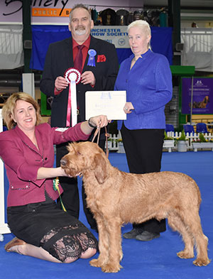 Mrs J McDonald-Ulliott Int Ch Hibeck Dino with group judge Mr H Ogden & award presented by Miss T Irving 