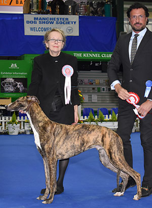 Mrs C Wueger Estet Classic Spring Rain with puppy group judge Mr M Cocozza 