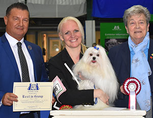 Miss N Welbourn Sunn De Lion Kaifing At Zumarnik (Imp Rus) with group judge Mrs C E Cartledge & award presented by Mr P Harding (Secretary)