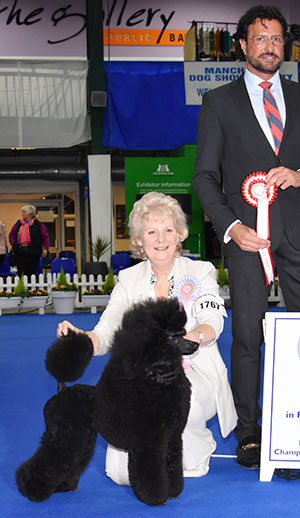 Miss J Kitchener Michandy Turn Back Time with puppy group judge Mr M Cocozza