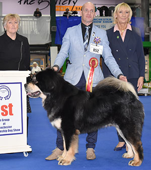 Mr R Hollifield & Mr A Humphreys Richearon Palden with group judge Miss S Pollock-Yule & award presented by Mrs M McArdle