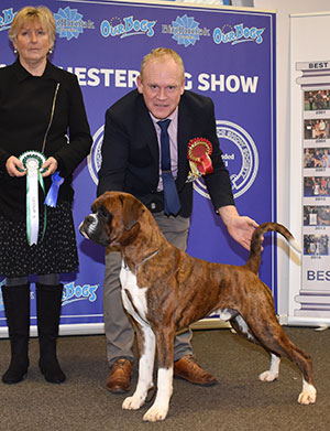 Mr M Griffiths Ch Lanfrese Argento with group judge Mrs S Pollock-Yule