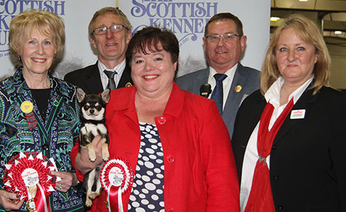 Mr & Mrs K & S Hornby Solsplash Sargent Major At Bramerita with BPIS judge Mrs E A Macdonald, Mr M Dyer (Deputy Show Manager) & A Morton (Royal Canin)