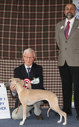 Mr T K Ellis Railfield Raining Kisses with Mr A Bongiovanni (Royal Canin)