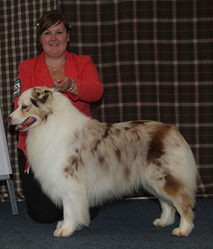 Mr & Mrs A & L & Miss Douglas, Allan & Harlow Mes Am Gr Ch Ir Ch Lux Ch Bayshore Stonehaven Cat Burg 