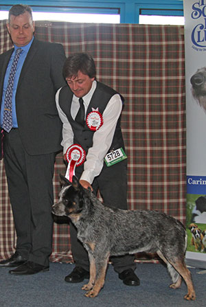 Miss K Jebson Ch Austmans Finn Mcmissile with group judge Mr J Ritchie