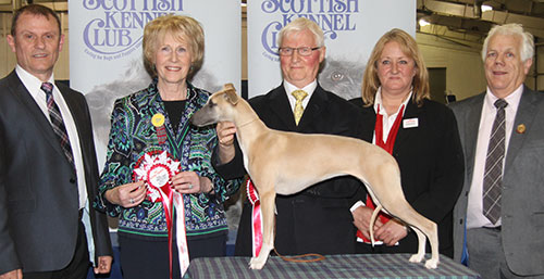 Mr T K Ellis Railfield Raining Kisses with BPIS judge Mrs E A Macdonald, Mr F Whyte (Chief Steward) & A Morton (Royal Canin) 