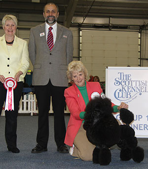 Miss J Kitchener Ch Lenholl D'Ikar at Michandy (Imp) JW with group judge Mrs M Mulholland & Mr A Bongiovanni (Royal Canin)