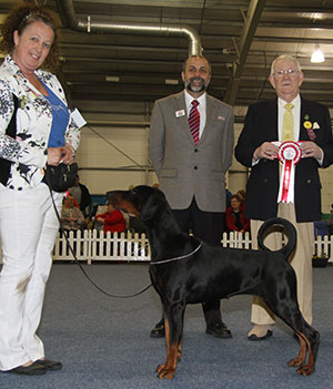 Mrs S Mycroft Ch Supeta's Spells Trouble JW Sh.CM with group judge Mr D Smith & Mr A Bongiovanni (Royal Canin) 