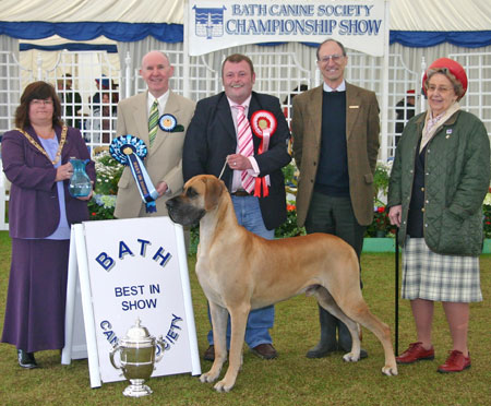 Best in Show