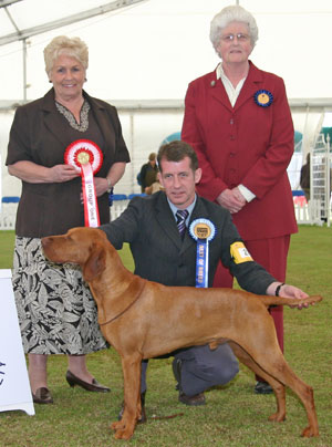 Gundog Group 1st