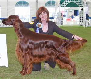 Gundog Group 2nd
