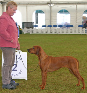 Hound Group 2nd