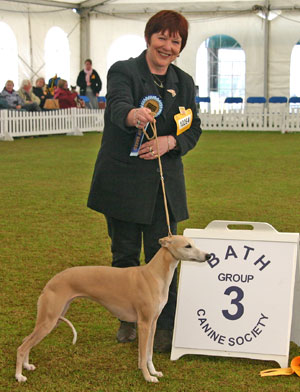 Hound Group 3rd